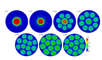 Rayleigh-Benard Marangoni Convection