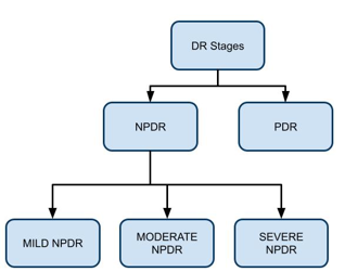 classification of DR