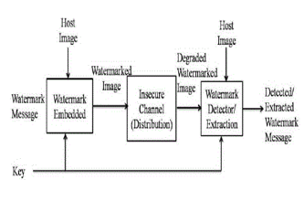 Digital Water Marking