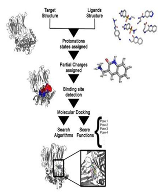 Molecular docking with selection process of drug