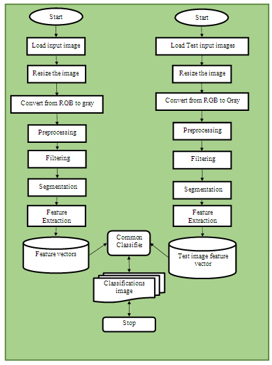 Classification of Training and Assessment Levels