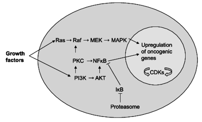 Pathways of metabolism
