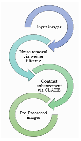 Stages of pre-processing