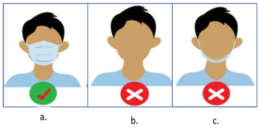 a. Masked b. No Mask c. Improper Mask. Three Different classes.