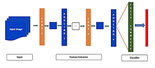 Basic architecture of CNN [16]