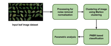 general suggested structure