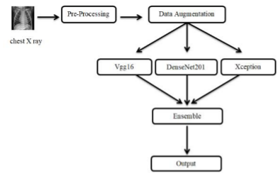 Pneumonia Detection System